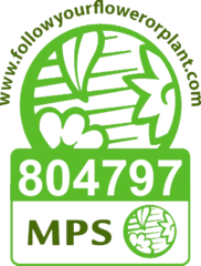 Logo Floreco - natürlich von Schönges