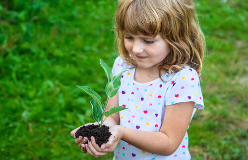 Children watch plant trees hold their hands selective focus
