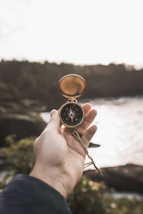 Compass nature